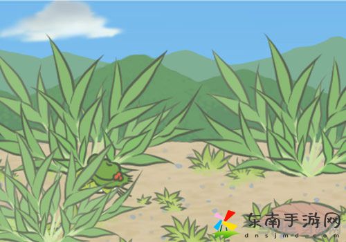 旅行青蛙草丛探险明信片介绍 草丛探险图鉴